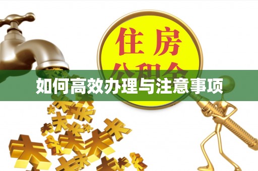铁西如何高效办理与注意事项
