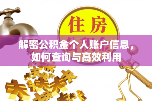 铁西解密公积金个人账户信息，如何查询与高效利用