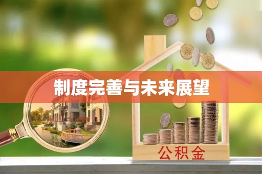 铁西制度完善与未来展望