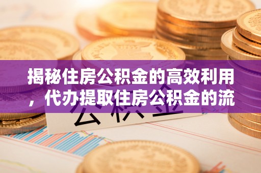 铁西揭秘住房公积金的高效利用，代办提取住房公积金的流程与技巧