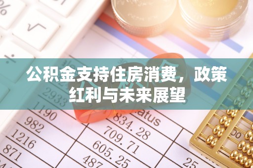 铁西公积金支持住房消费，政策红利与未来展望