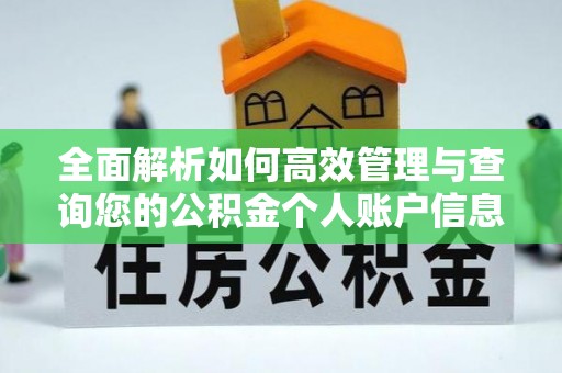 铁西全面解析如何高效管理与查询您的公积金个人账户信息