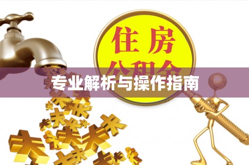 铁西专业解析与操作指南