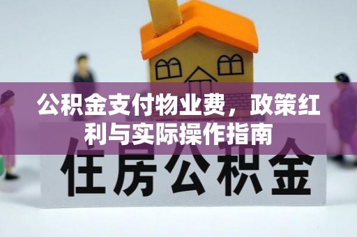 铁西公积金支付物业费，政策红利与实际操作指南