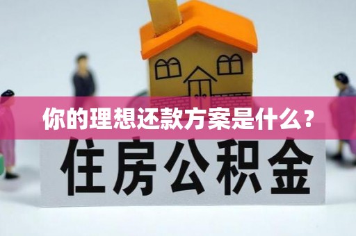 铁西你的理想还款方案是什么？