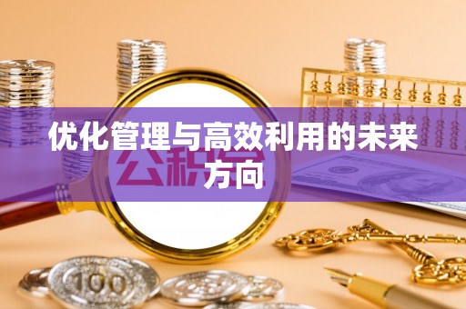 铁西优化管理与高效利用的未来方向