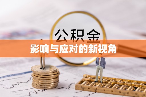 铁西影响与应对的新视角