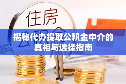 铁西揭秘代办提取公积金中介的真相与选择指南