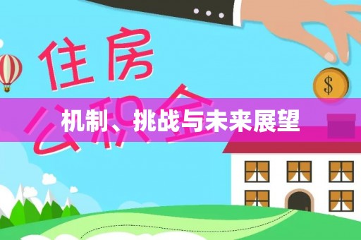 铁西机制、挑战与未来展望