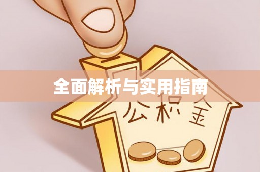 铁西全面解析与实用指南